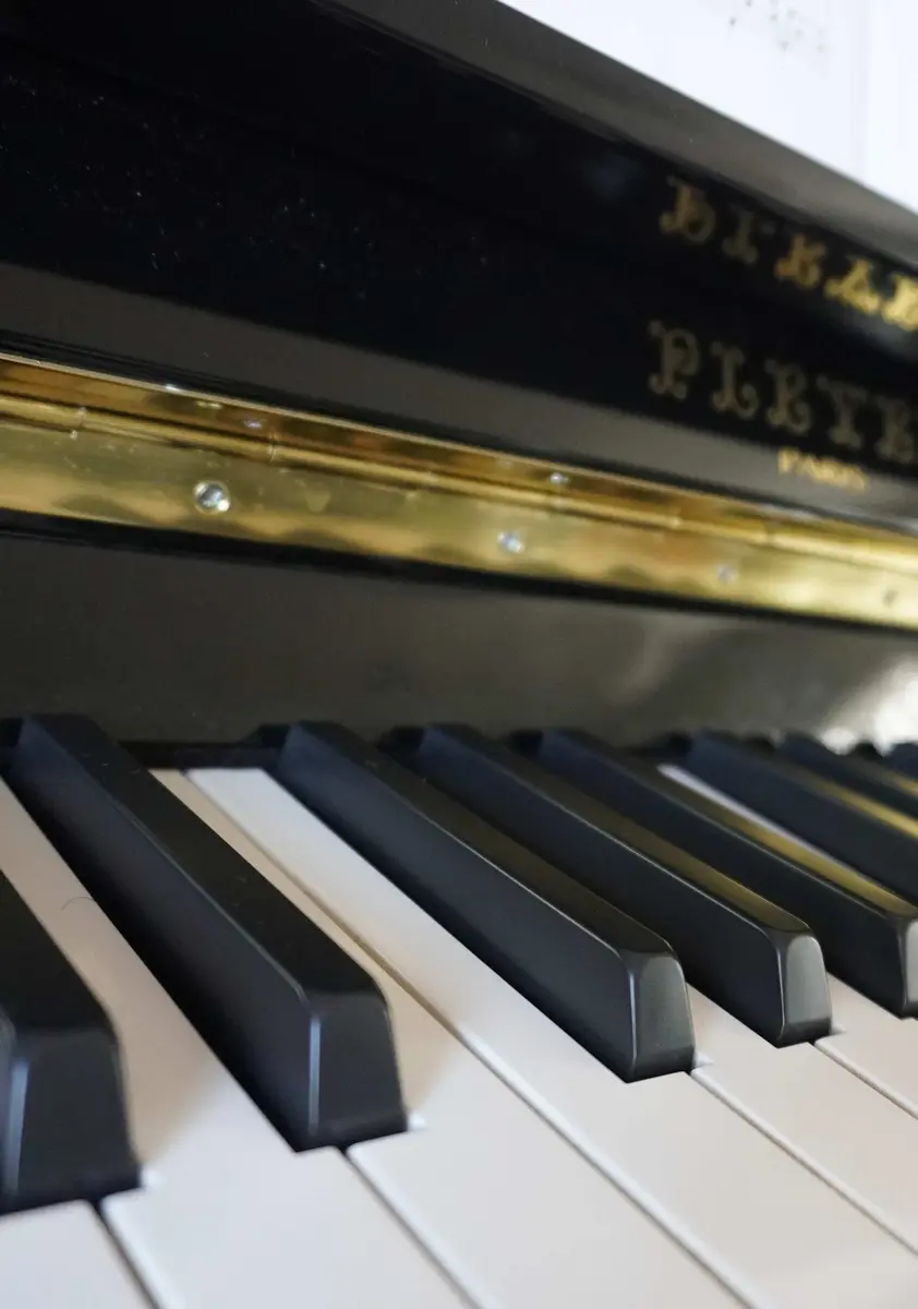 Piano Solo